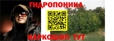 прущие крисы Иваново
