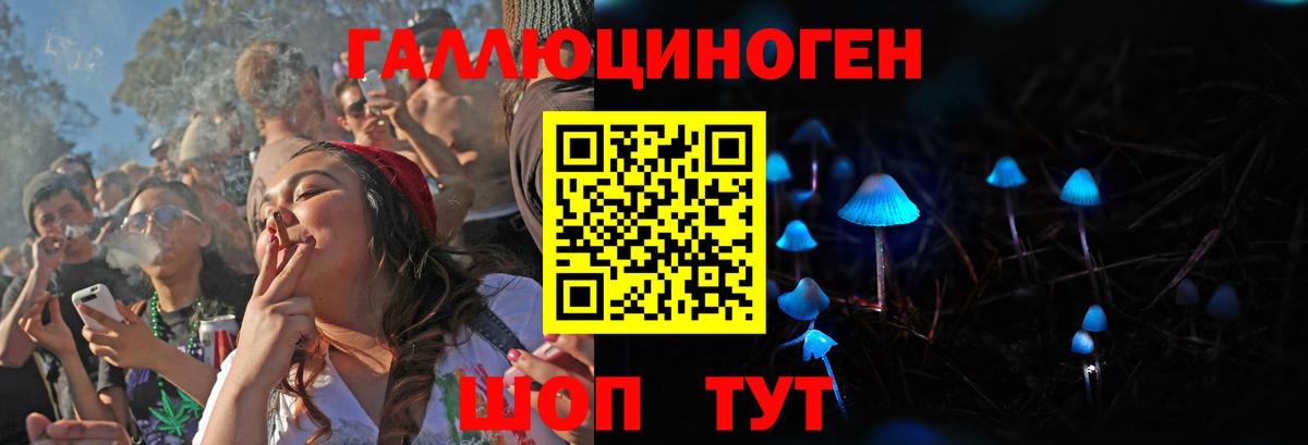 Галлюциногенные грибы GOLDEN TEACHER  Вход с VPN  Зерноград  Псилоцибиновые грибы мицелий 